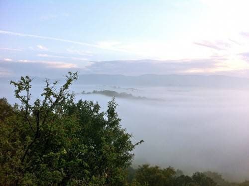 Morning Mist in Heaven