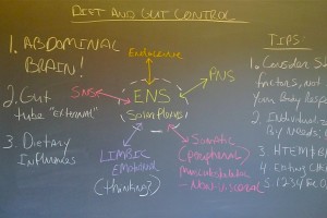 Diet and Gut Control