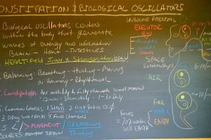 Constipation and Biological Oscillators blk bd
