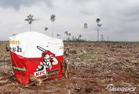Rainforest destruction Corporate