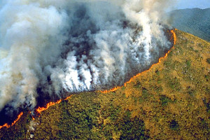Mandatory Credit: Photo by Sipa Press / Rex Features AERIAL VIEW OF AMAZON RAINFOREST DESTRUCTION AMAZON RAINFOREST DEFORESTATION, BRAZIL - 1989 DEFORESTATION TIMBER WOOD ECOLOGY CLEARING TREE VEGETATION DEAD LOGGING ENVIRONMENT POLLUTION FIRE BURNING  AMAZON RAIN BRAZIL - 1989 153587j