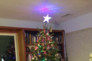 Christmas Tree 2015 Vista
