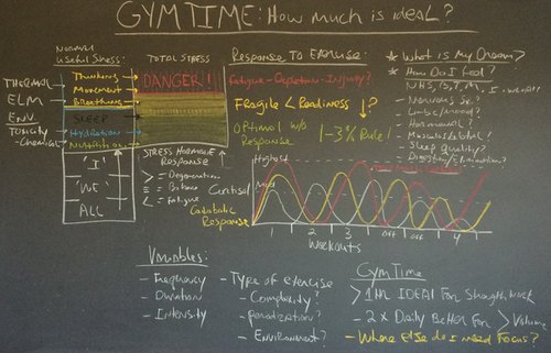 Gym Time Part 1: How Much is Ideal?